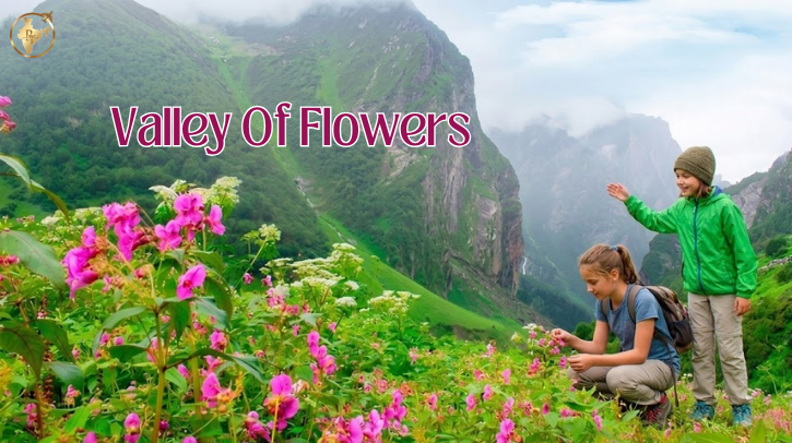 Valley Of Flowers